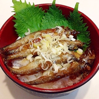 どんぶりにして☆ししゃも甘辛焼き丼